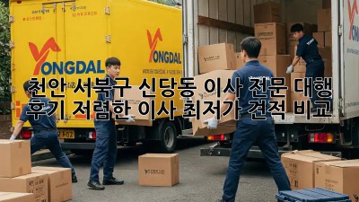 천안 서북구 신당동 이사 전문 대행 후기: 저렴한 이사, 최저가 견적 비교! ✨