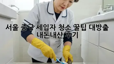 서울 중구 세입자 청소🧹 꿀팁 대방출! [내돈내산 후기]